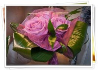 /album/galeria/anyu-jpg/