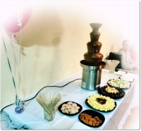 /album/galeria/csoki2-jpg/